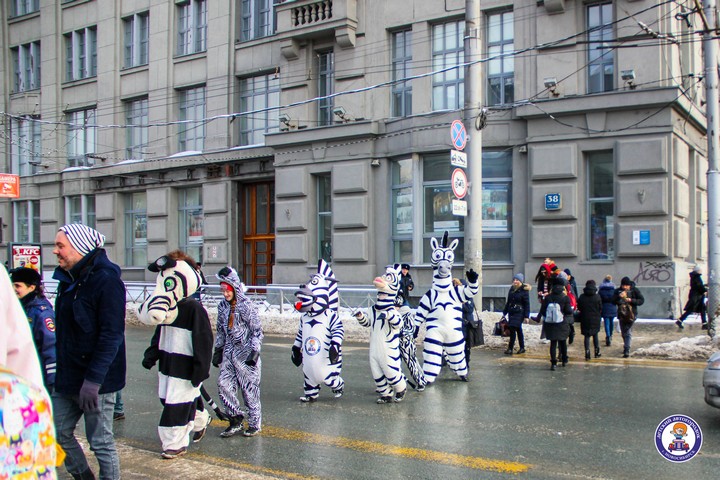 ВНИМАНИЕ! Зебры в городе!