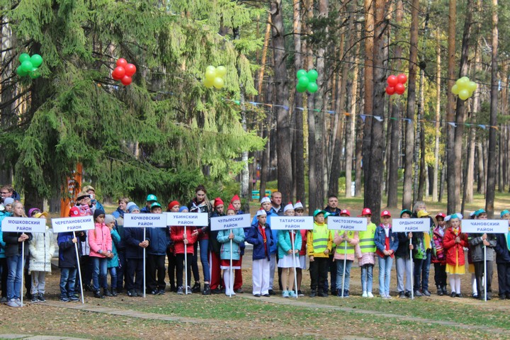 Безопасное колесо 2019